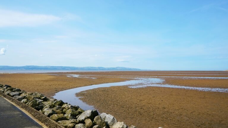 Water and Rocks on Wasteland